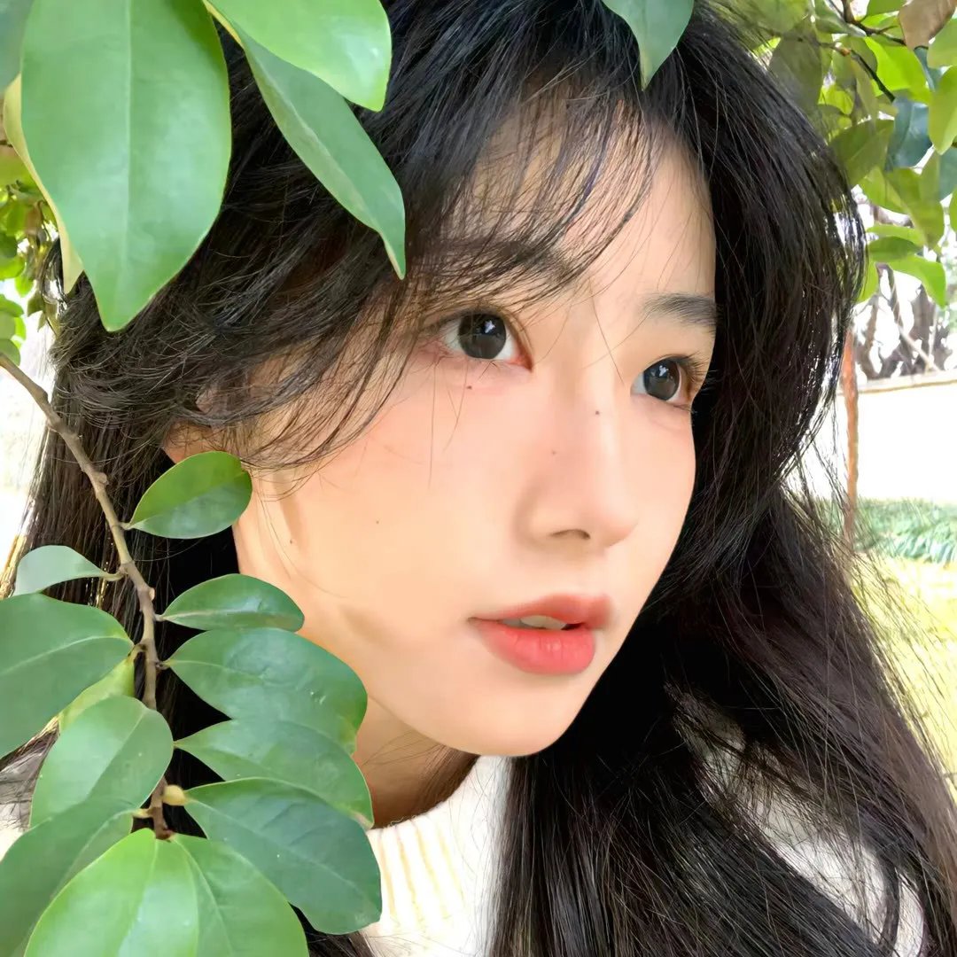 水莲公主